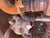 Ditch Witch SK3000 Full size-High Flow.