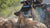 Extreme Duty Stump Grinder 24"
