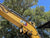 2021 CAT 303.5 CR - Hydraulic thumb