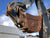 2013 John Deere 310K 4x4 Backhoe Loader