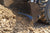 Blue Diamond 4- in-1 Bucket 84"