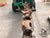 2015 Ditch Witch RT45 4x4 Trencher