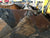 Bobcat 72" 4-in-1 one Bucket