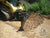 6-Way Dozer Blade Heavy Duty 72"