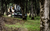 Broyeur à fléaux compact série FH 72" (tondeuse HD)