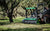 Trituradora forestal compacta FHX66 Defender - Cepillo de hasta 10" 